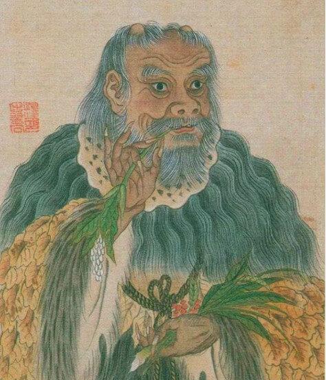 (Thần Nông là một vị thần huyền thoại của Trung Hoa, ông cũng được coi là một trong Tam Hoàng và được xem là một anh hùng văn hóa, cùng với Hoàng Đế là thuỷ tổ của dân tộc Hoa Hạ. Ông cũng được xem là thuỷ tổ của họ Hồng Bàng trong truyền thuyết của Việt Nam)