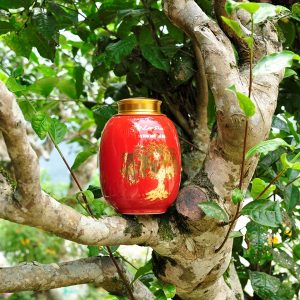 Bình trà gốm Bát Bảo