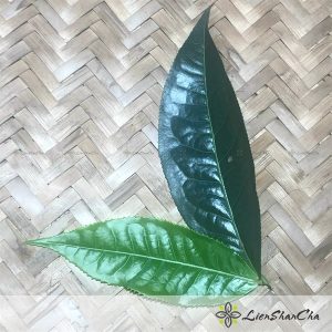 Lá chè Shan - Kg